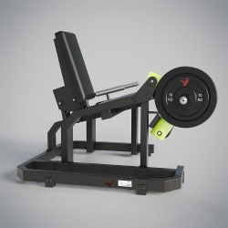 Leg Extension